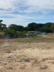 Open vacant land with mature trees and uneven terrain Penonomé Panama