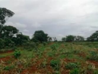 Rural agricultural terrain with red soil, open fields, and scattered trees in Las Mendozas Panama