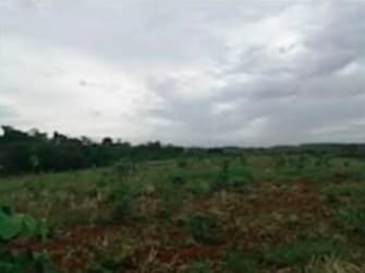 Farmland with patches of vegetation and fertile soil under overcast rural landscape Panama Oeste