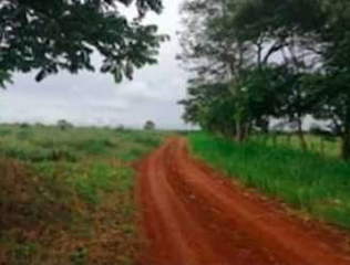 Agricultural/Farm Land for Sale in Las Mendozas - 0 bedrooms