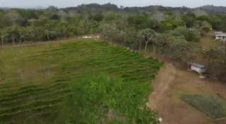 Agricultural Land for Sale in Capira - 0 bedrooms
