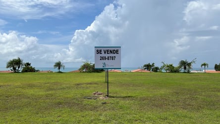 Vacant green grassy lot for sale with ocean view and coastal palm trees at Vista Mar San Carlos Panama