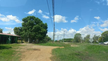 Access road with greenery and utility poles near land for sale El Caño Penonomé