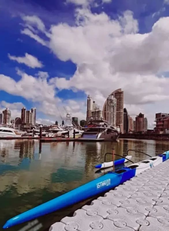 Luxury yachts docked at Ocean Reef Marina with skyscrapers in background