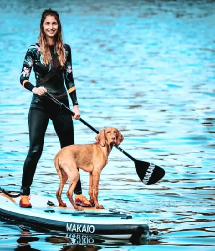 Person paddleboarding with dog on board at The Palms Beach Resort's waterfront
