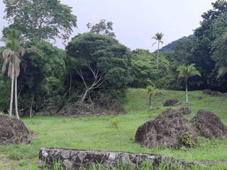 Land for Sale in Las Cumbres - 0 bedrooms