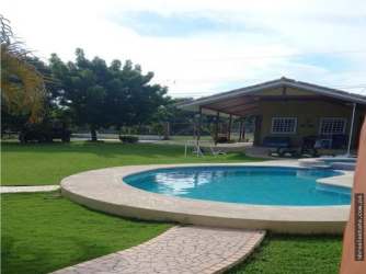 Swimming pool surrounded by lush garden and patio area at Playa Gorgona Panama