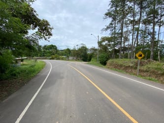 Curved asphalt road bordered by trees and greenery near agricultural plot Toabré Penonomé