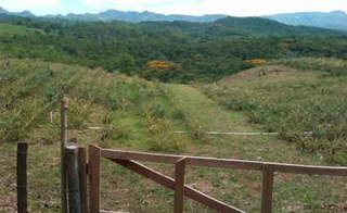 Land/Farm for Sale in Chiguirí Abajo - Sabana Larga Sector - 0 bedrooms