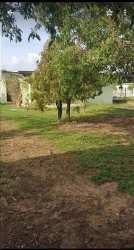 Single-story green and white house with garden front yard for sale in Natá Coclé Panama