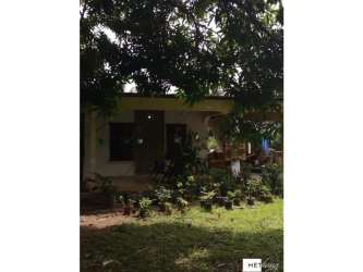 Big fenced green lot with trees and lawn in Penonomé countryside for sale