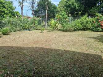 Fenced backyard with mature trees and green lawn at house for sale El Carate, Las Tablas Panama