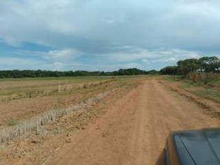 Agricultural land for Sale in Natá - 0 bedrooms