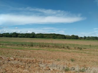 Flat open farmland extending toward panoramic mountain horizon in Coclé Panama countryside