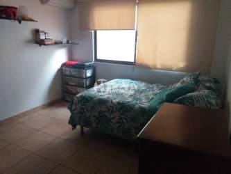 Covered patio area with hammock and garden view in Chitré, Panama
