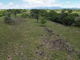Land for Sale in Conventillo - 0 bedrooms