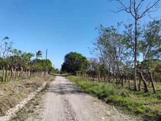 Dirt road access within farmland area in Chiriqui Panama