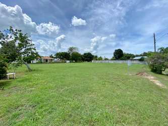 Level green lot on corner in Coronado beach community Panama ready to build