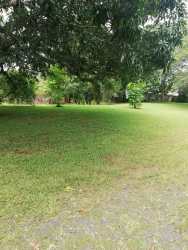 Open green space corner lot inside Coronado residential community