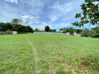 Open plot of grass flat terrain with tree line in Coronado Panama