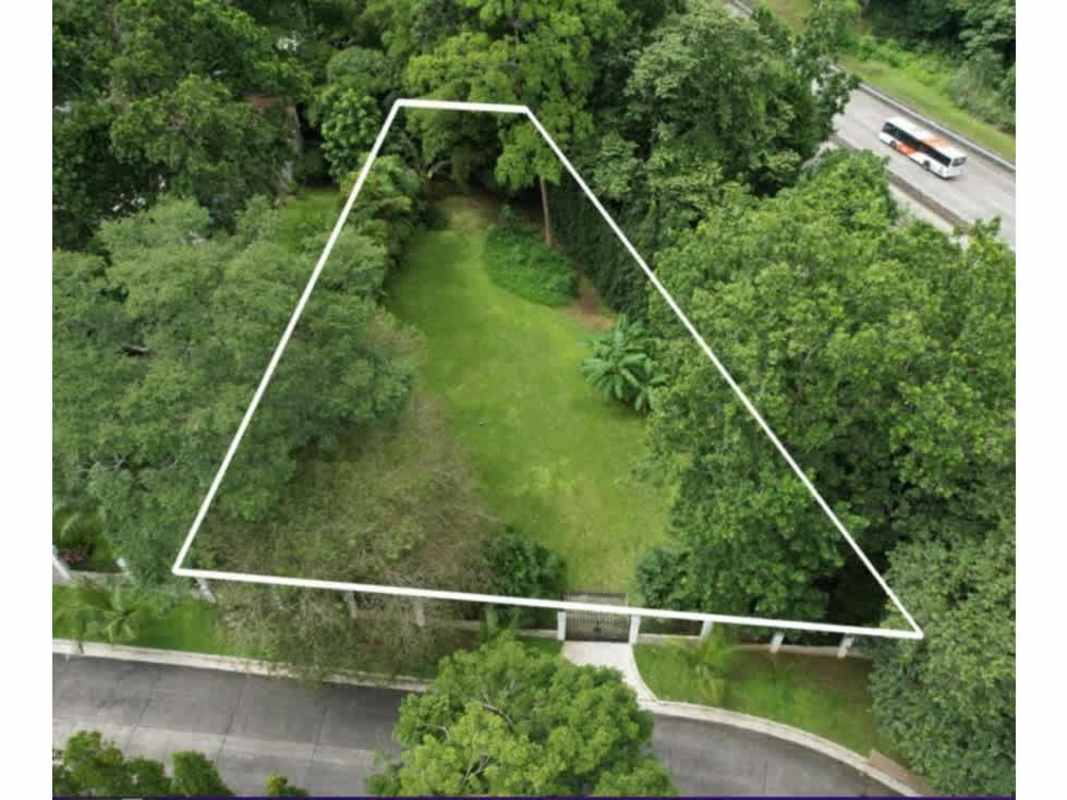 Aerial image of residential land surrounded by mature trees with street access in PH Camino de Cruces Clayton Panama