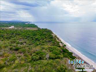 Natural coastal vegetation with Pacific beach in El Higo Panama