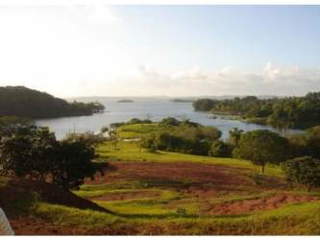 Land for Sale in Donoso - 0 bedrooms