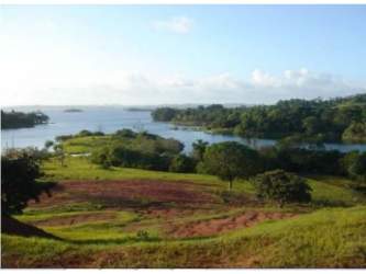 Dense tropical forest section ideal for eco-tourism development in Panama