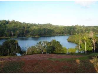 Waterfront property with forest and open meadow adjacent to Gatun Lake Colón