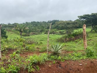 Grassy open land with rusted metal gate and trees in El Arado area La Chorrera Panama