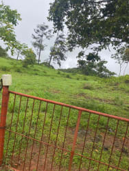 3 Hectares Farm Land for Sale El Arado, La Chorrera