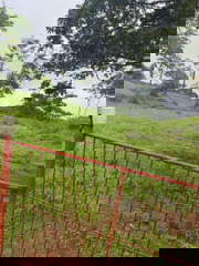 Land plot for Sale in El Lirio - 0 bedrooms