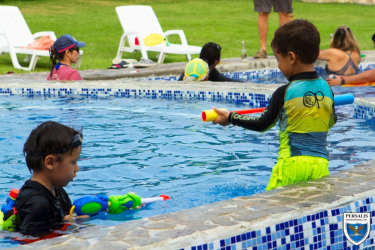 Aerial showing plots, mountain backdrop, greenery in Valle Village El Espino Panama
