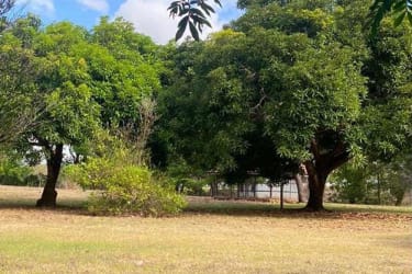 127,000 m² Farm Land with Fruit Trees, Rodeo Viejo San Carlos