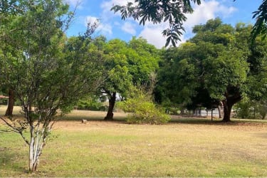Large country property with fenced open yard and trees Rodeo Viejo San Carlos