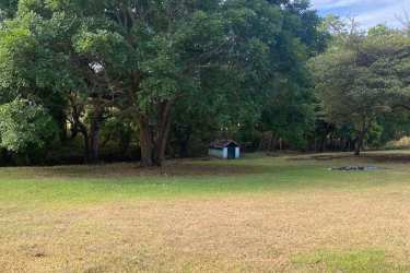 Agricultural property with open pasture, mountain view in Rodeo Viejo Panama