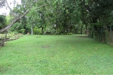 Garden yard with mature trees and open space in Santa Clara near beaches Panama