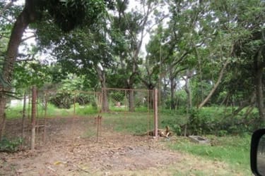 Rustic gate access with dense vegetation on land parcel near Pacific beaches Santa Clara Panama