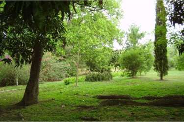 Lush green garden lot with bushes and mature trees near Pacific beach in Santa Clara Panama