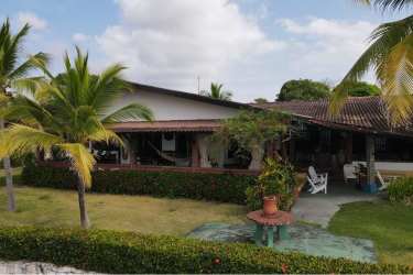 Covered patio with tropical garden view on oceanfront estate Costa Esmeralda Panama