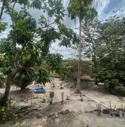 Lush tropical garden with small blue swimming pool in Costa Esmeralda beach house San Carlos Panama