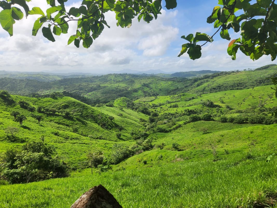 Expansive green rolling farmland with partly cloudy sky mountain background near Chepo Panama