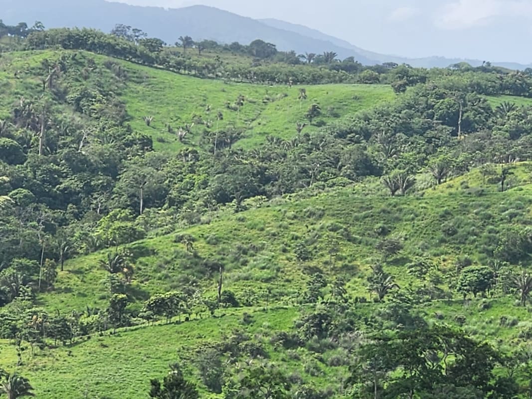 Ranch Land 388 Hectares with Springs near Canitas Chepo