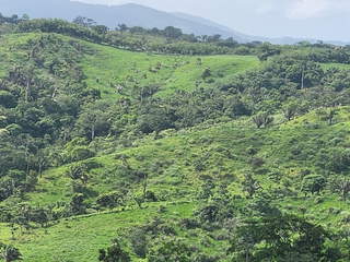 Land for Sale in Canitas - 3 bedrooms