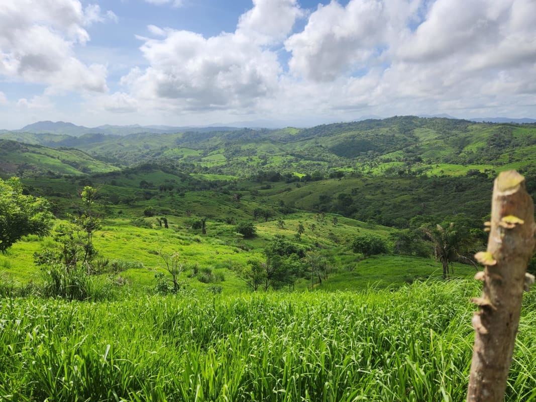 Green rolling hills countryside ideal for cattle farming near Canitas Chepo Panama
