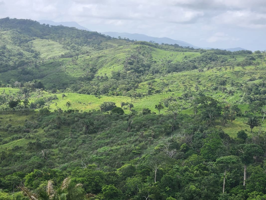 Wide countryside terrain with rolling green hills ideal for livestock at Canitas Chepo Panama for sale