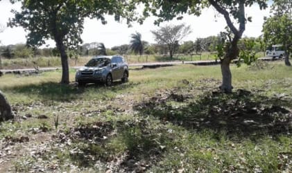 Scenic panoramic mountain view over lush forested terrain from the land in Alto Boquete Panama