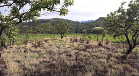 Green wooded slopes surrounding the rural land parcel near Caldera River in Boquete Panama
