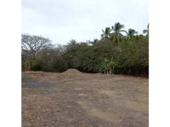 Vacant lot with palm trees and natural surroundings near Jagüito Aguadulce
