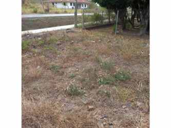 Undeveloped flat land parcel along paved road near Interamericana Highway Aguadulce Panama